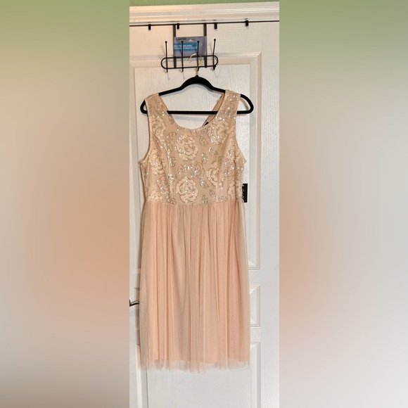 🌹New Blush Pink Dresss - Picture 6 of 14